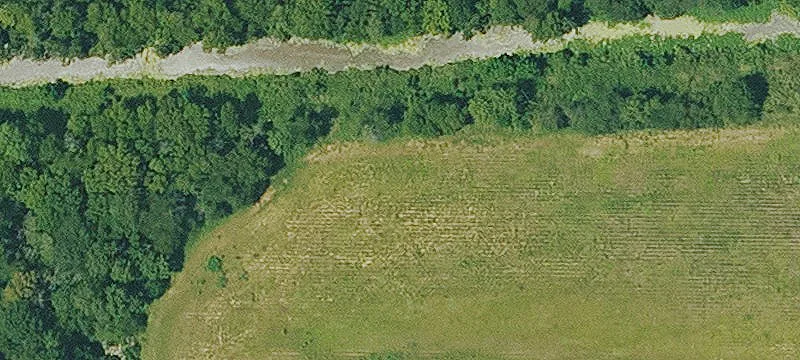 Jones, LA 71250