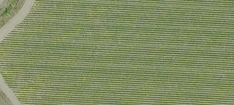 Lettsworth, LA 70753