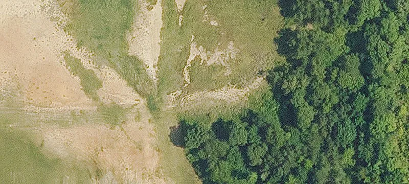 Many, LA 71449
