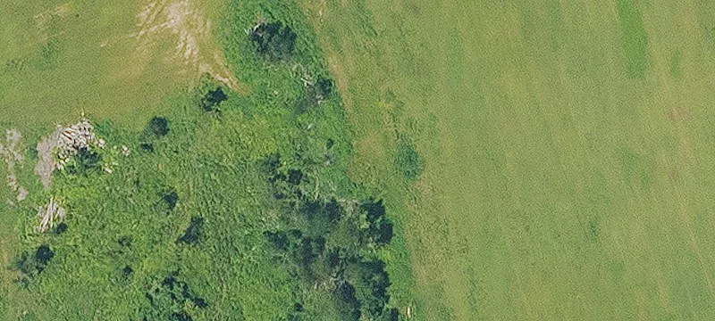 Bastrop, LA 71220