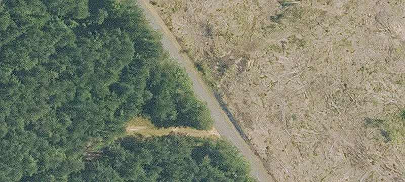 3080 Hwy 1230