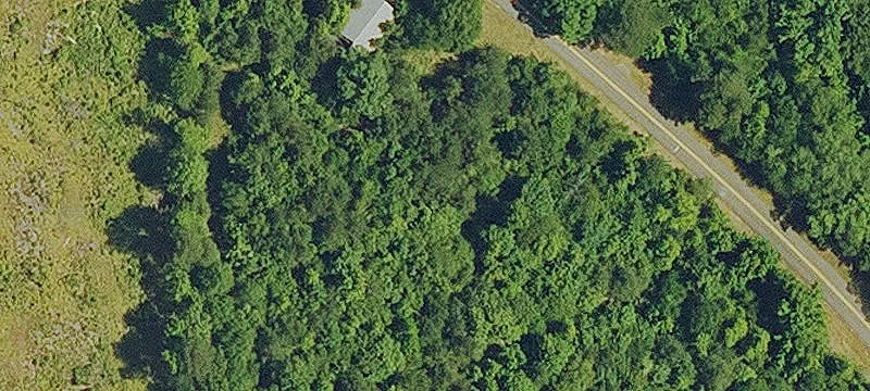 Dorcheat Rd