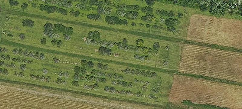 4951 Hwy 39