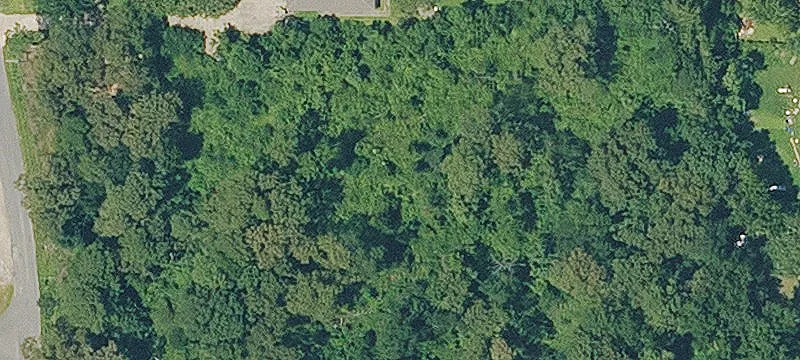 Bastrop, LA 71220