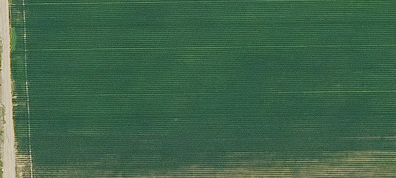 Jones, LA 71250