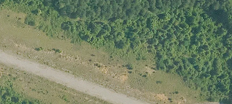 Farmerville, LA 71241