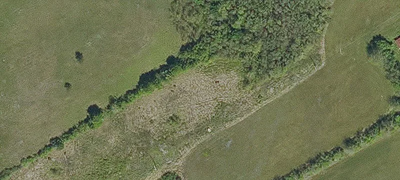 Mansura, LA 71350