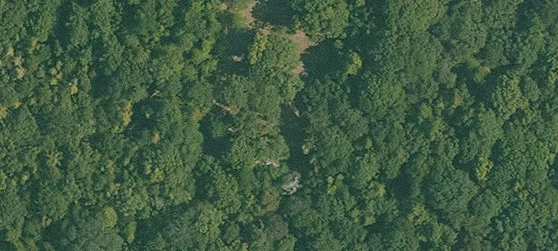 Oberlin, LA 70655