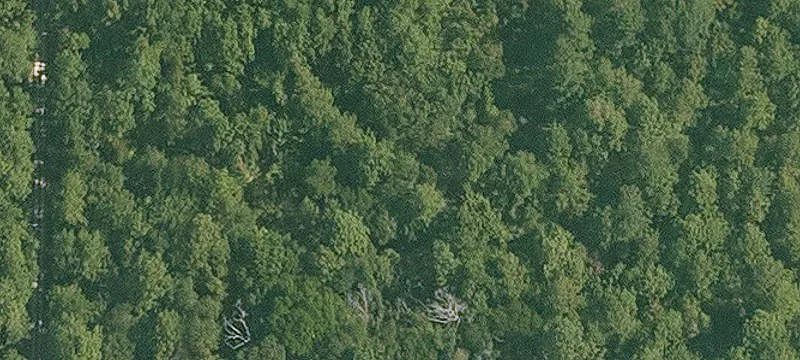 Dry Creek, LA 70637