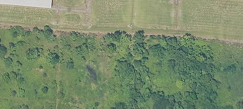 Rayville, LA 71269