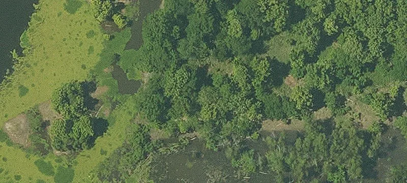 Gummers Ln, LA 