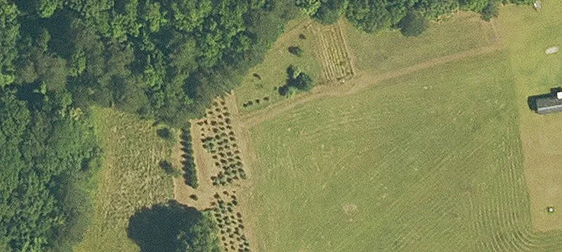 1386 Hwy 952