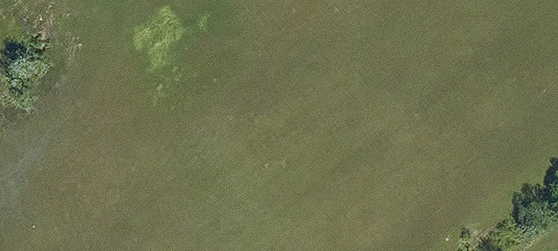 Mansura, LA 71350