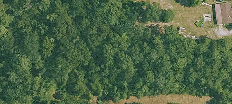 Oberlin, LA 70655