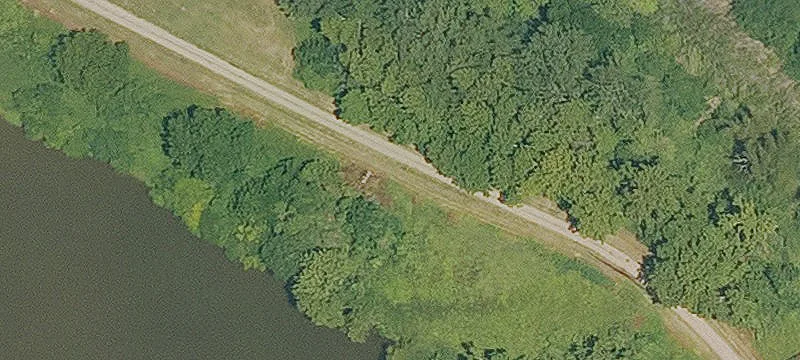 Transylvania, LA 71286