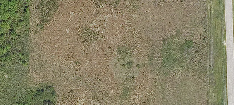 Mansura, LA 71350