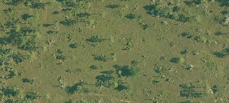 Ragley, LA 70657