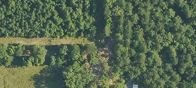 199 Whisenant Rd