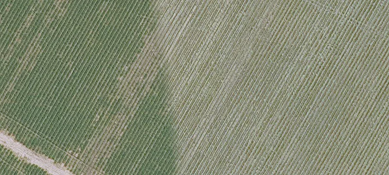 Lettsworth, LA 70753