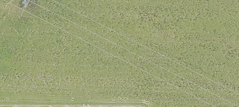 Rayville, LA 71269