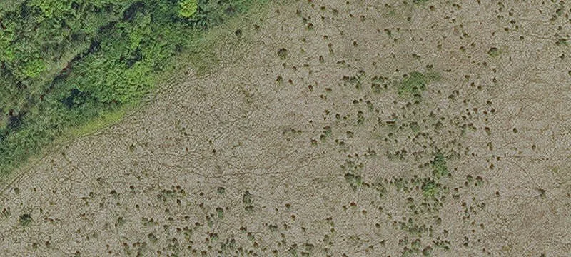 Mansura, LA 71350