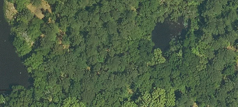 125 Hwy 960