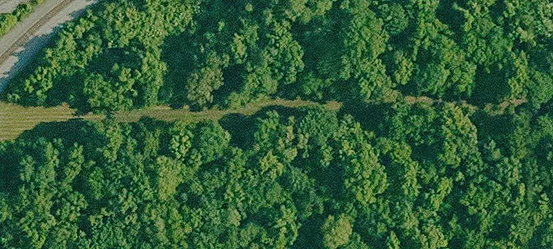 Livonia, LA 70755