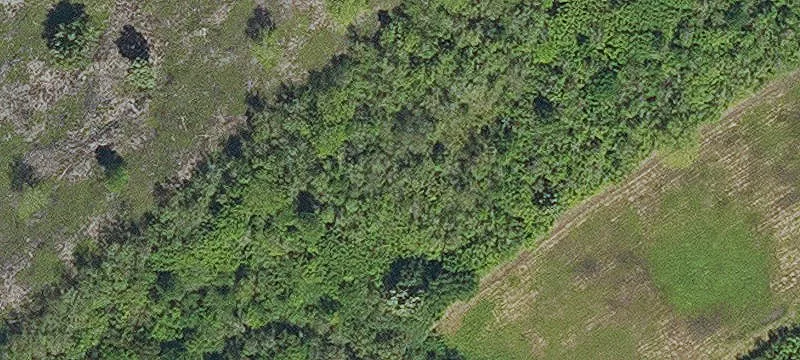 Mansura, LA 71350