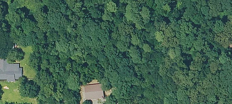 Bastrop, LA 71220