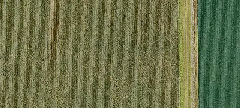 Peanut Rd