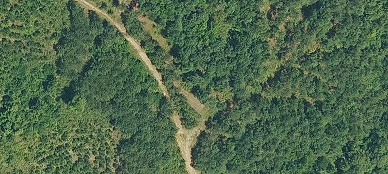 305 Hwy 3264