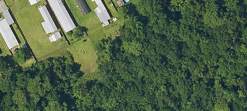 928 Red Cypress Rd