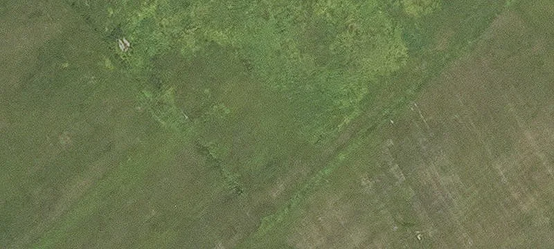 Mansura, LA 71350