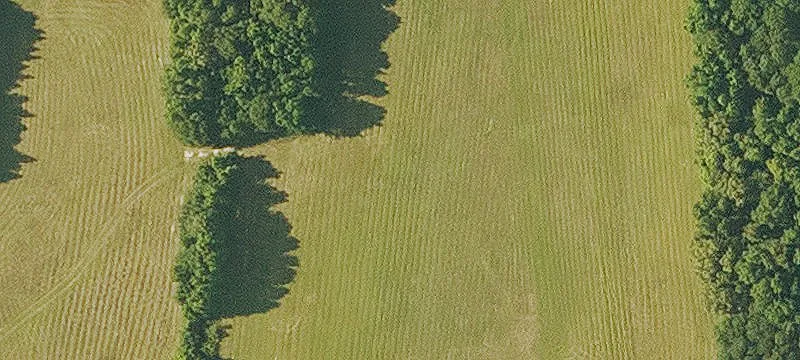 Oak Grove, LA 71263