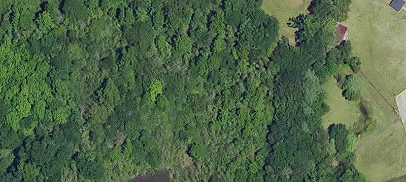 Marksville, LA 71351