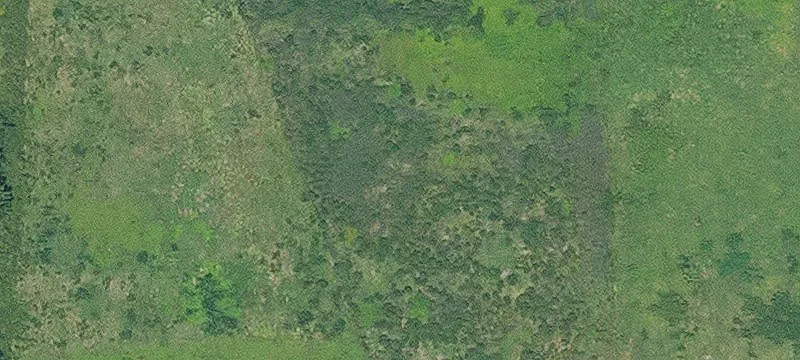 Mangham, LA 71259