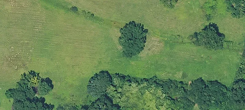 Collinston, LA 71229