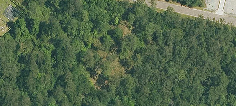 Bush, LA 70431
