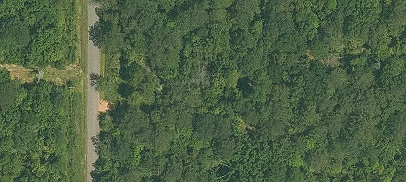 Madisonville, LA 70447