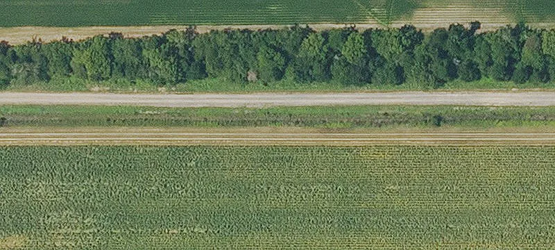 Rayville, LA 71269