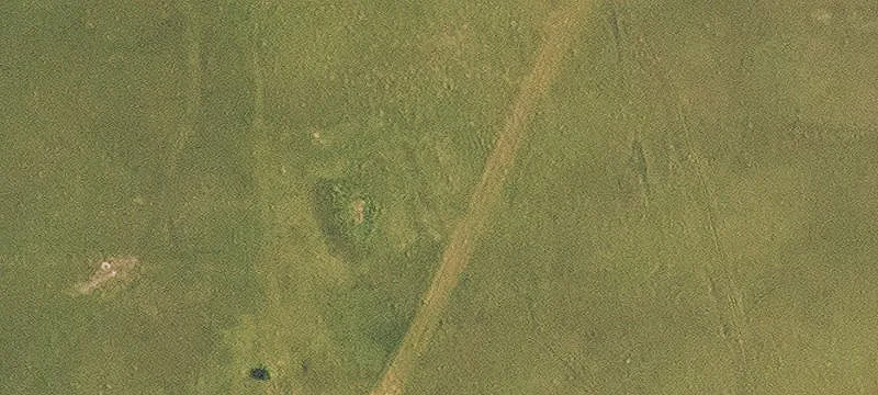 Mansfield, LA 71052