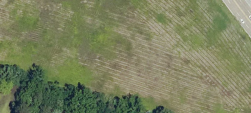 Marksville, LA 71351