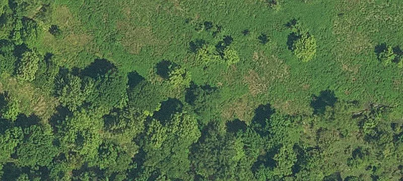 Bogalusa, LA 70427