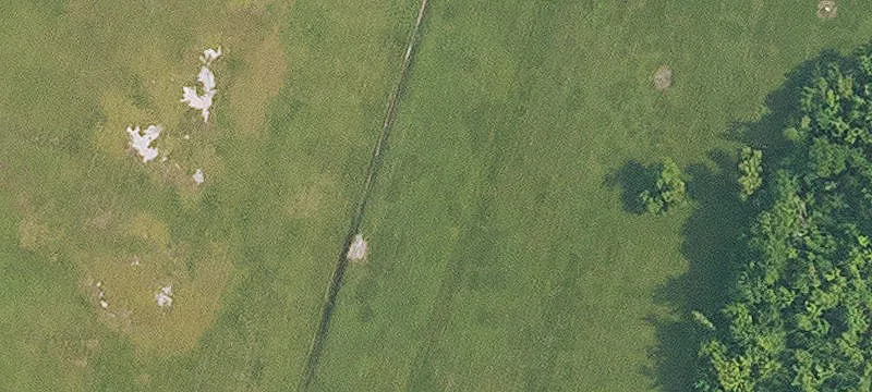 266 Hwy 3142