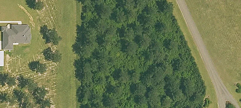 Abita Springs, LA 70420