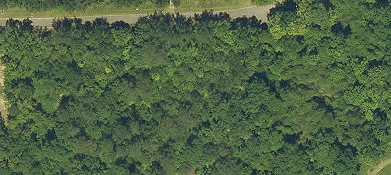 Bogalusa, LA 70427
