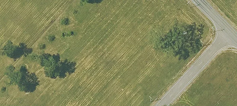 Lyle Dr