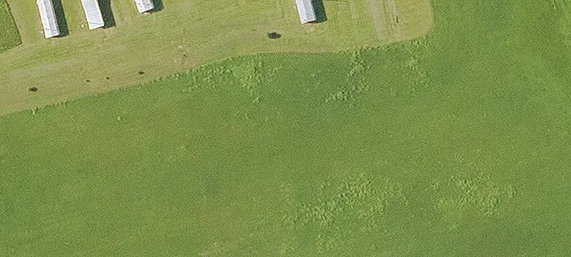 198 Jones Loop
