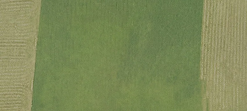 Crowley, LA 70526