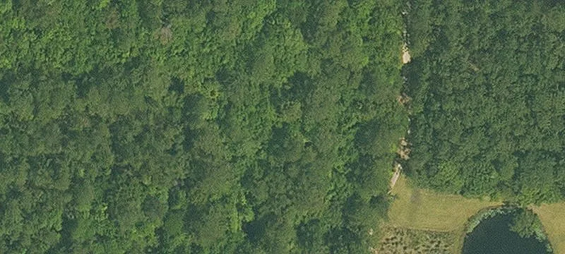 Madisonville, LA 70447